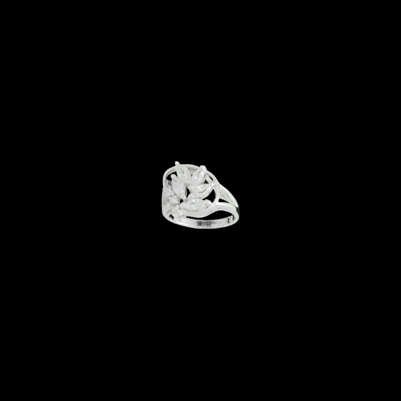 ΔΖΡ 77