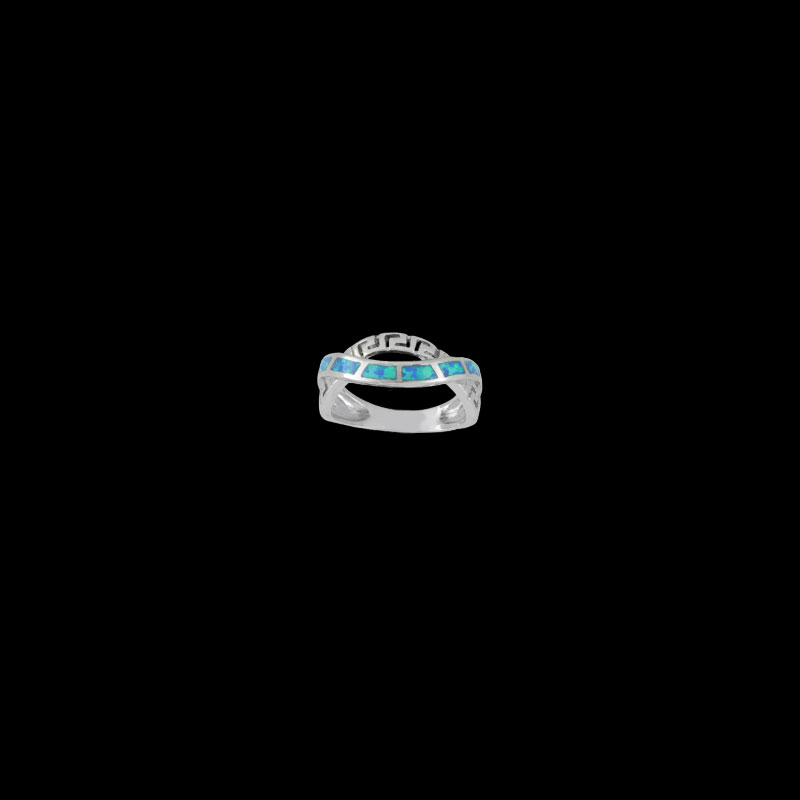 ΔΟΠ 106