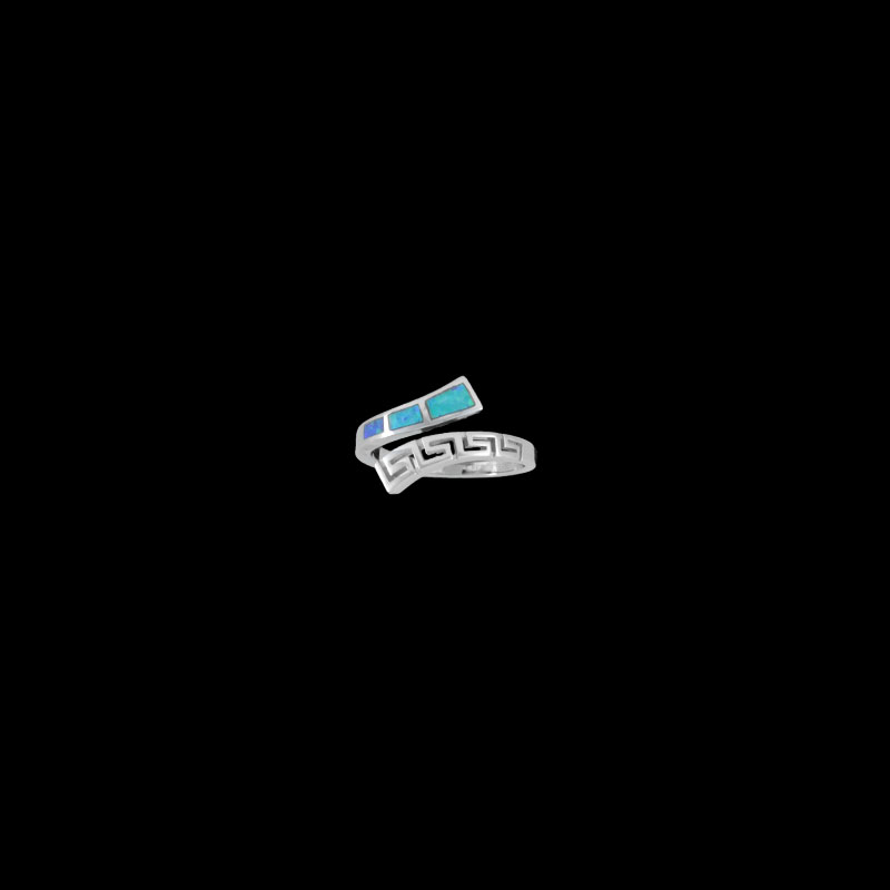 ΔΟΠ 119