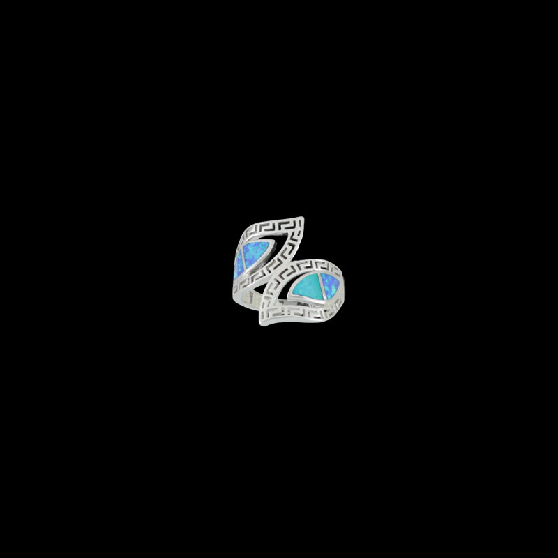 ΔΟΠ 210