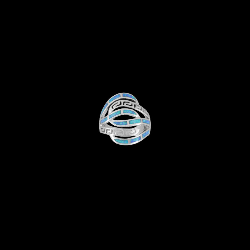 ΔΟΠ 55