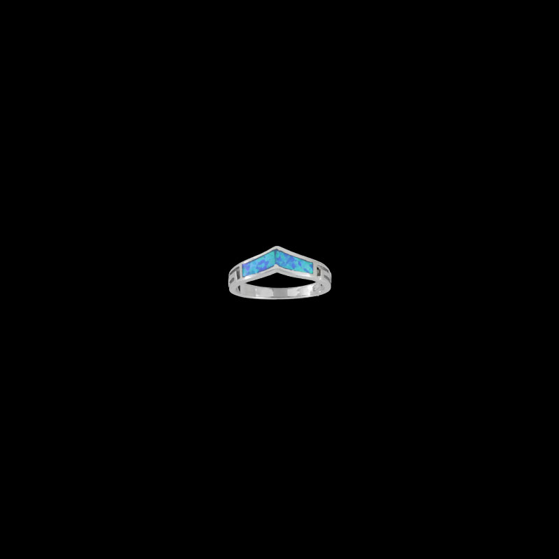 ΔΟΠ 58