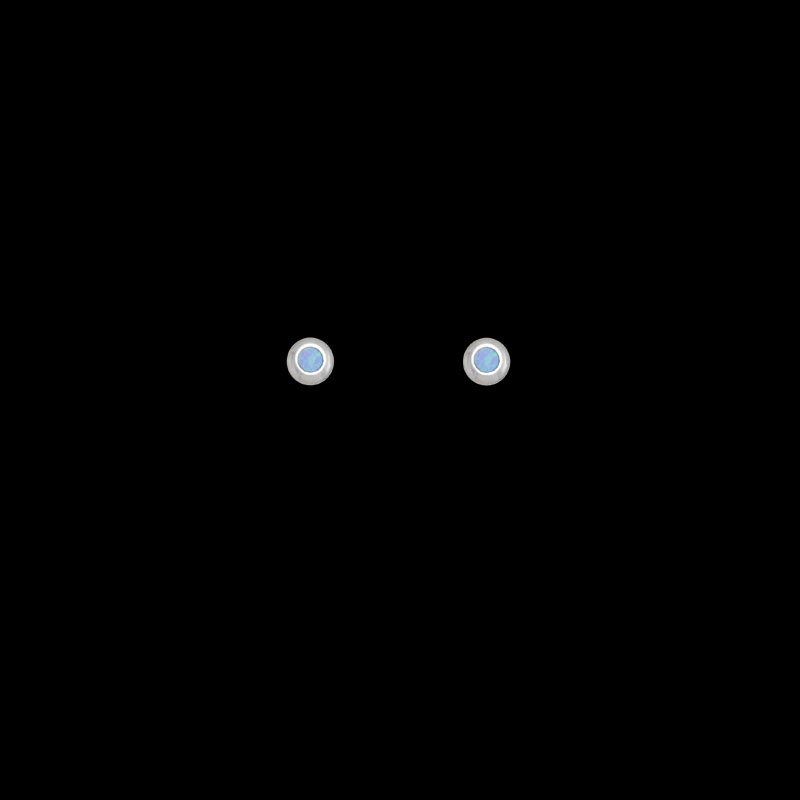 ΣΟΠ 251