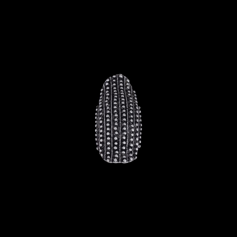 ΔΧ 3