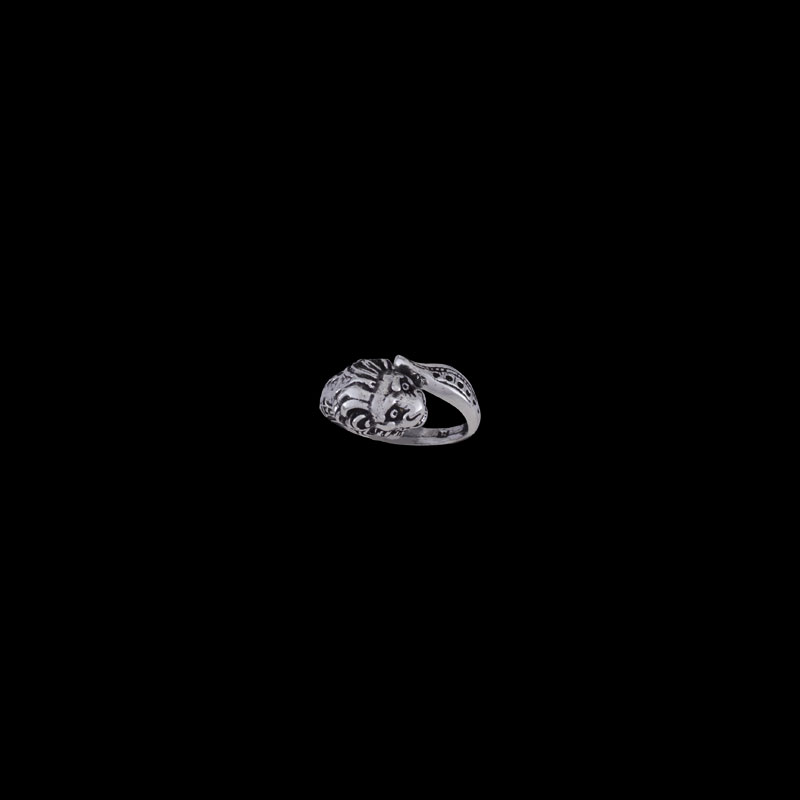 ΔΖ 9