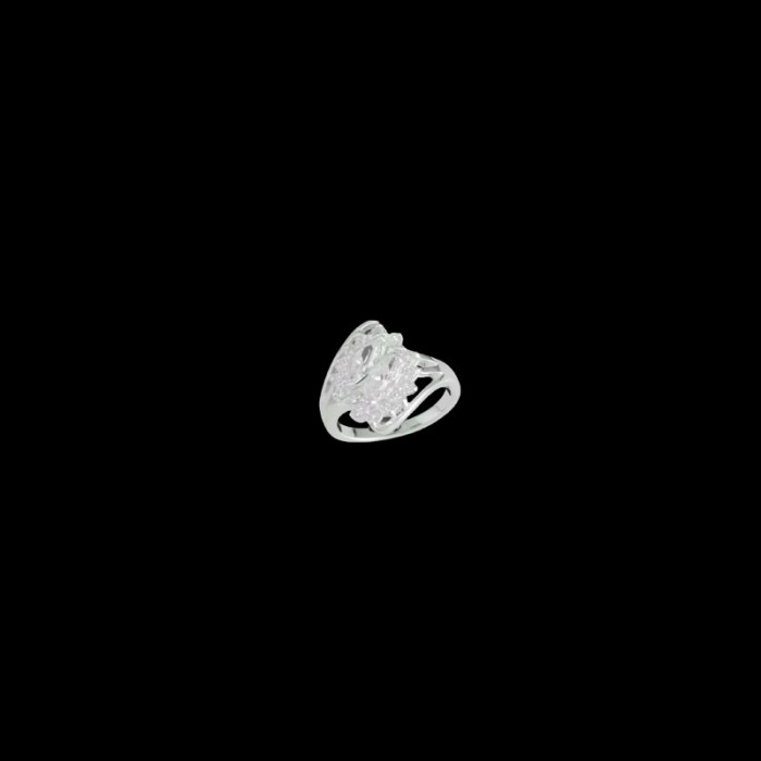 DZR 29