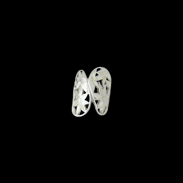 DXR 54