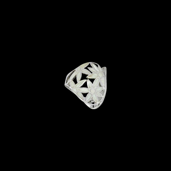 ΔΧΡ 54