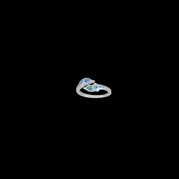 ΔΟΠ 107