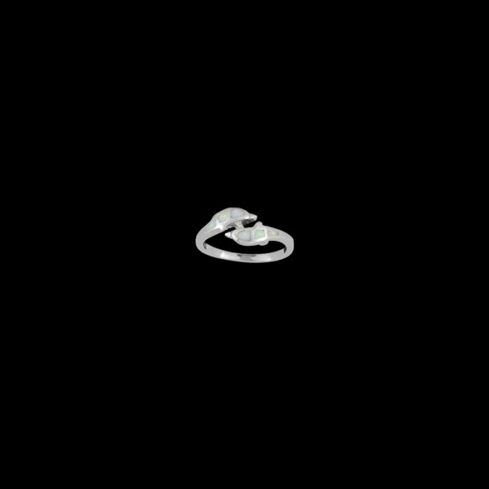 ΔΟΠ 107
