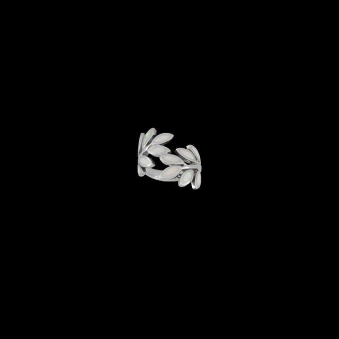 ΔΟΠ 155