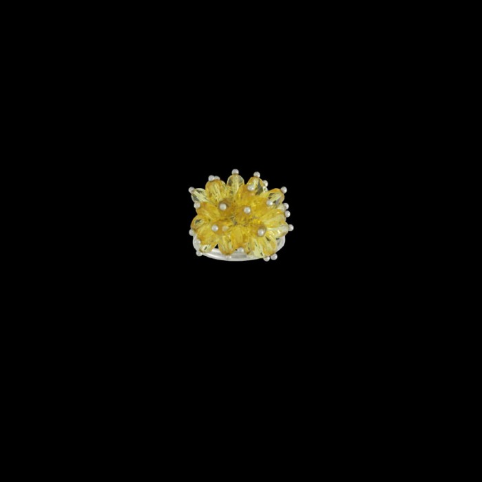ΔΖΡ 273