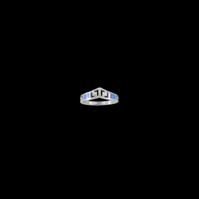 ΔΟΠ 60