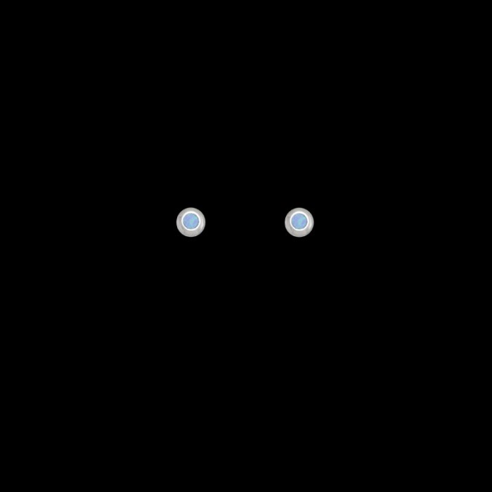 ΣΟΠ 251